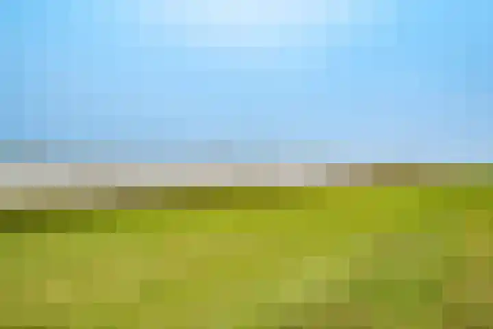 Kribbemonde 51 Nieuwegein thumbnail 30