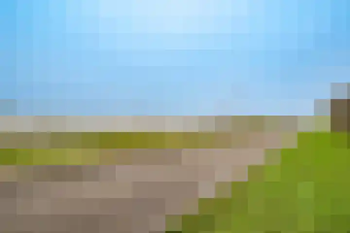 Kribbemonde 51 Nieuwegein thumbnail 31