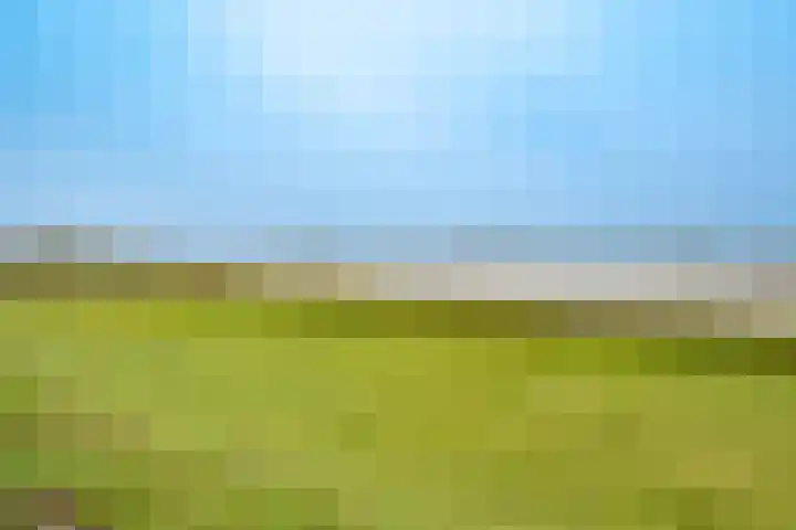Kribbemonde 51 Nieuwegein thumbnail 32