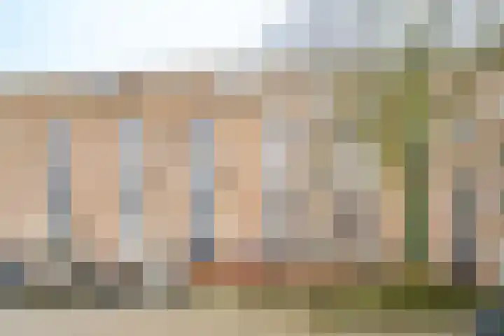 Kribbemonde 51 Nieuwegein thumbnail 33