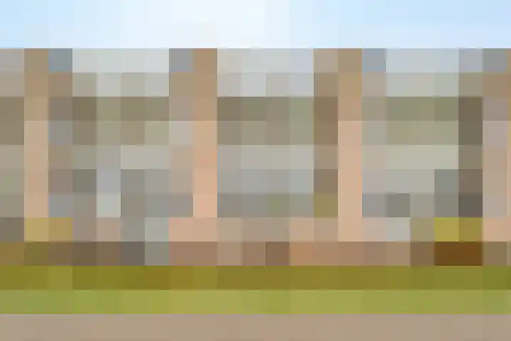 Kribbemonde 51 Nieuwegein thumbnail 36