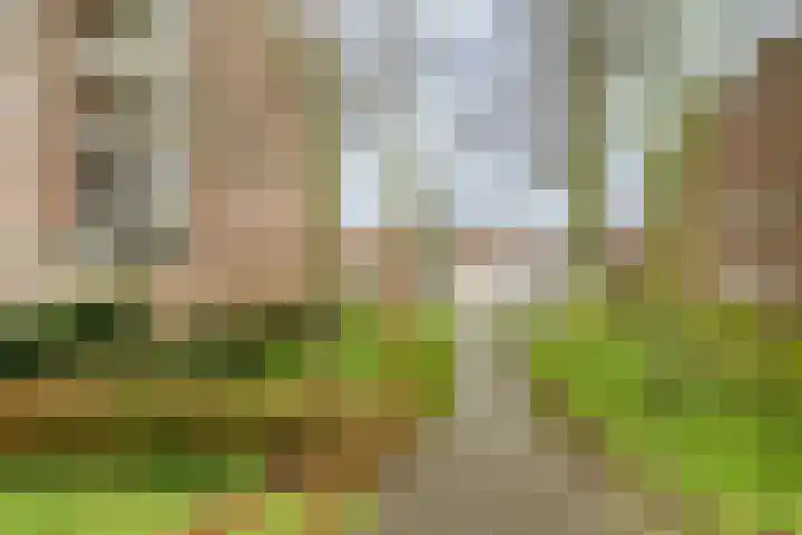Kribbemonde 51 Nieuwegein thumbnail 39