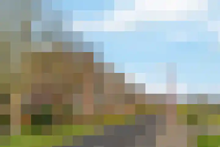 Kribbemonde 75 Nieuwegein thumbnail 26
