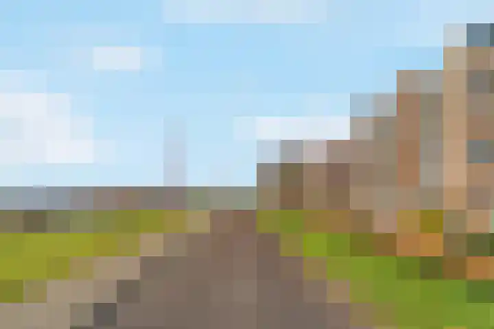 Kribbemonde 75 Nieuwegein thumbnail 27