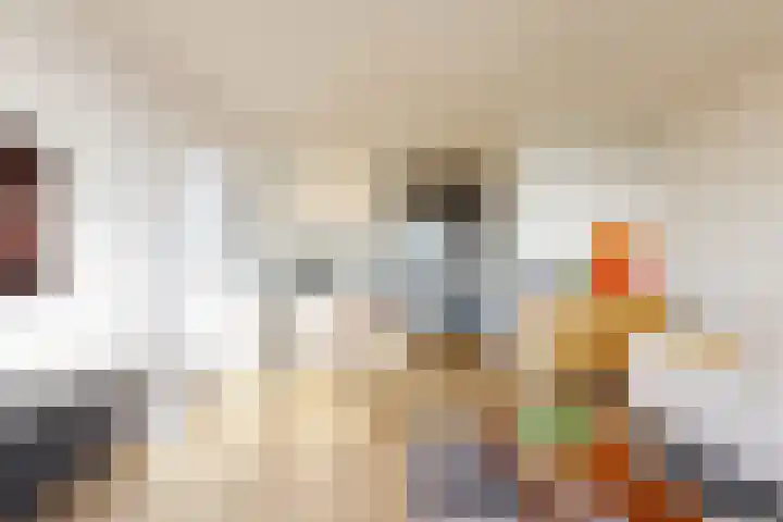 Kribbemonde 75 Nieuwegein thumbnail 4