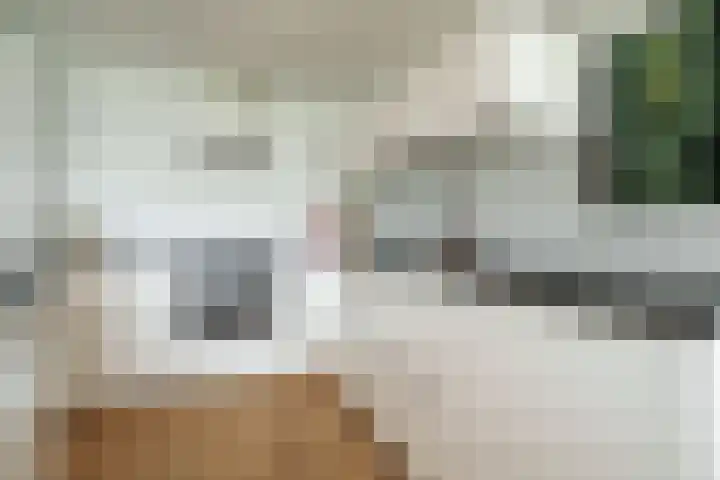 Kribbemonde 81 Nieuwegein thumbnail 12