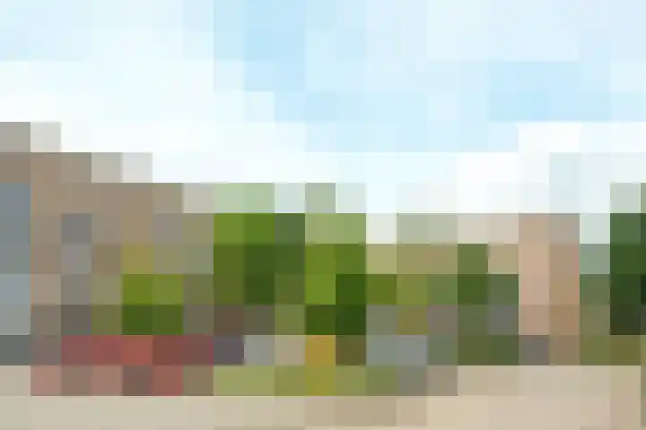 Kribbemonde 81 Nieuwegein thumbnail 25