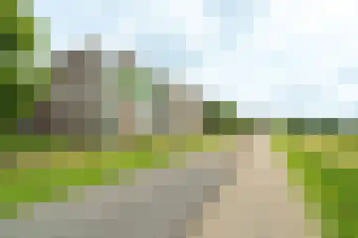 Kribbemonde 81 Nieuwegein thumbnail 31