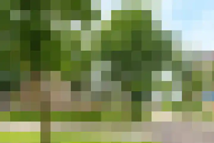 Kribbemonde 81 Nieuwegein thumbnail 4