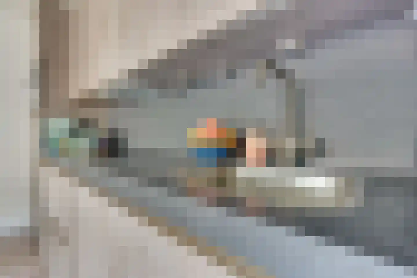 Kribbemonde 91 Nieuwegein thumbnail 20