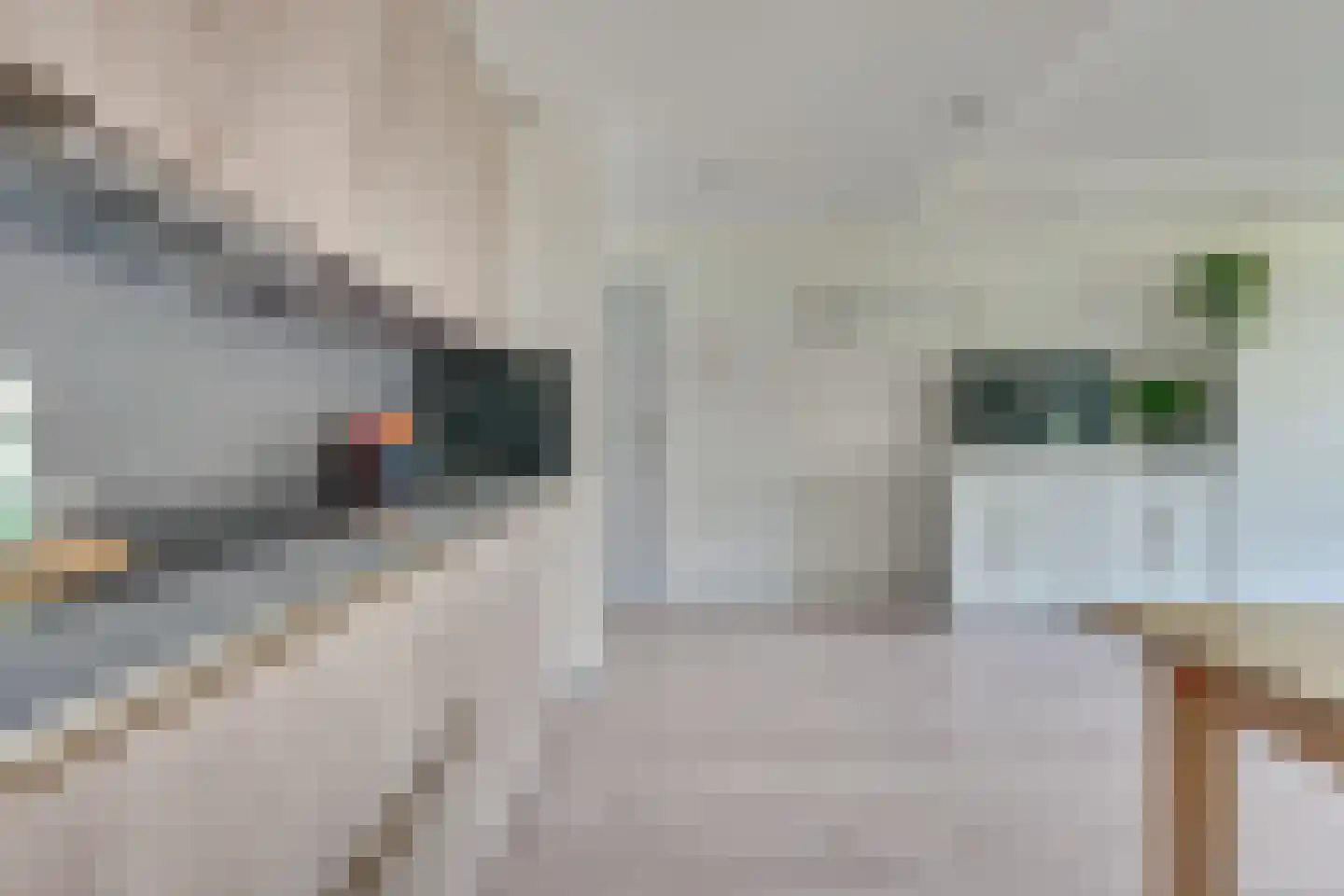 Kribbemonde 91 Nieuwegein thumbnail 22