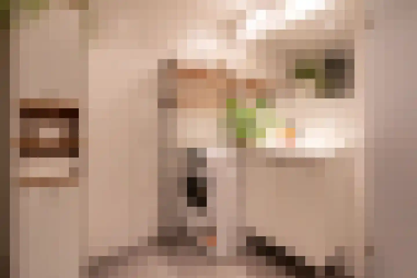 Kribbemonde 91 Nieuwegein thumbnail 35