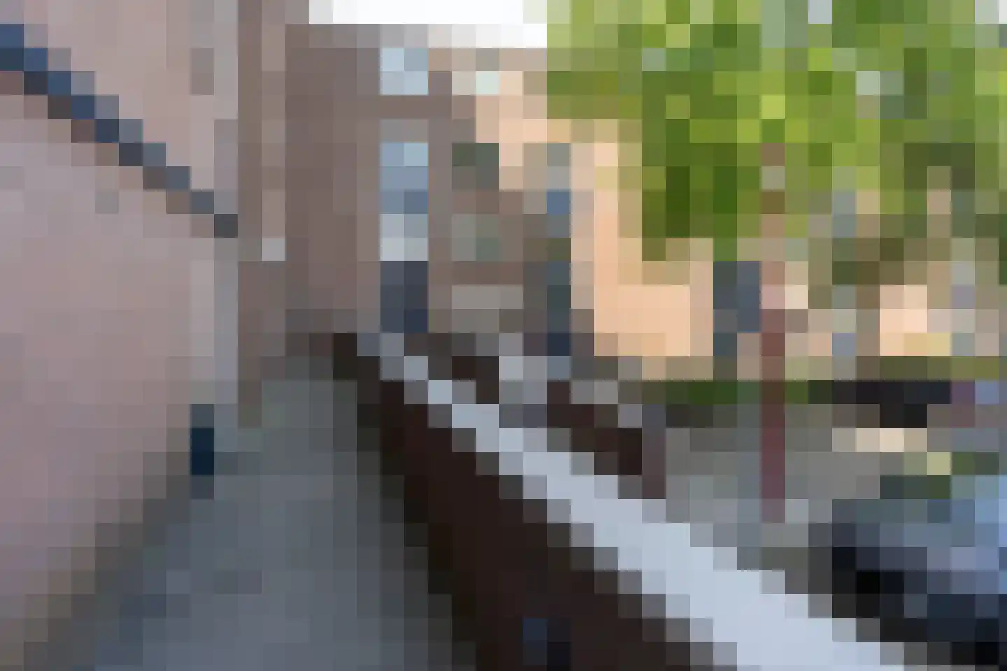 Kribbemonde 91 Nieuwegein thumbnail 39