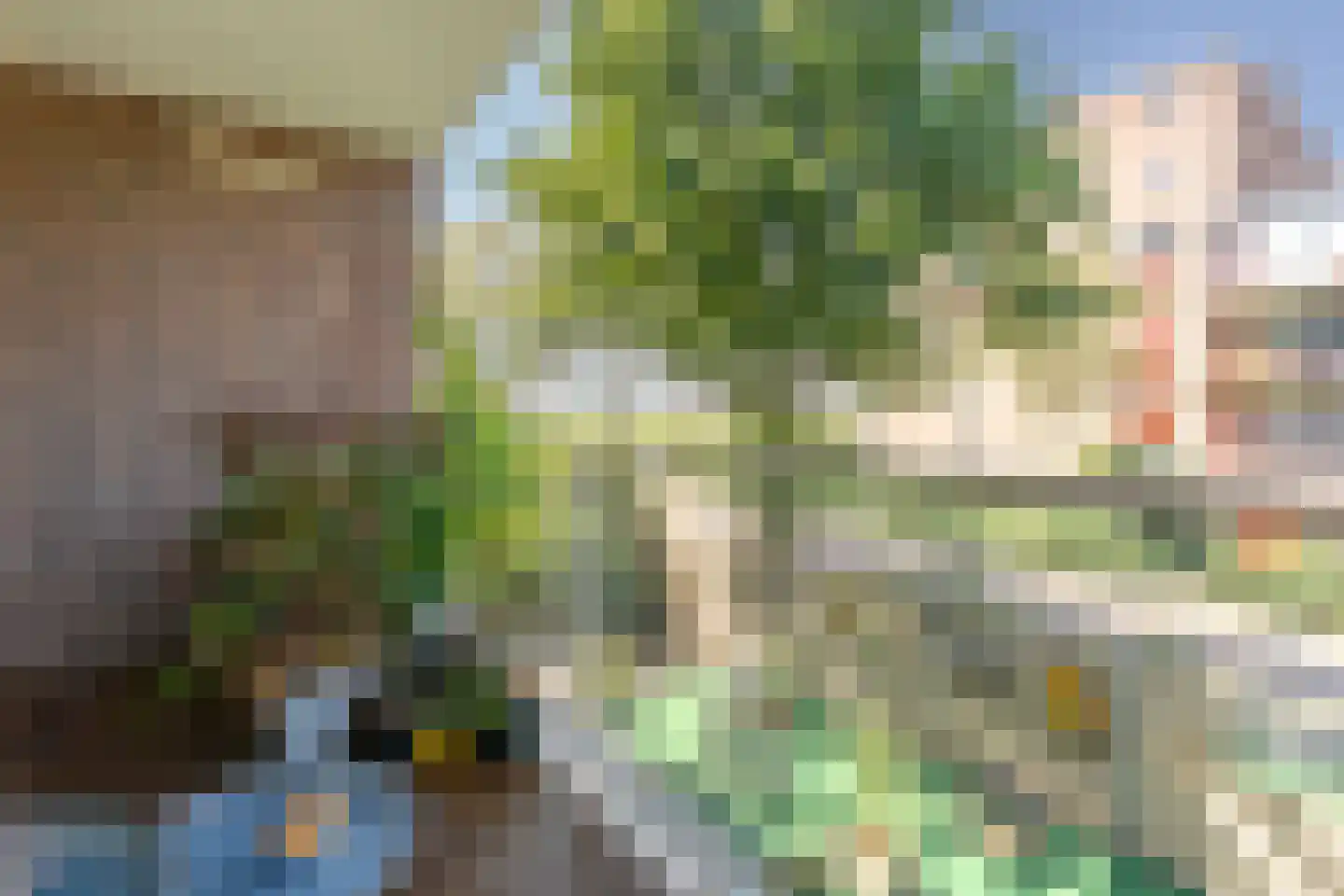 Kribbemonde 91 Nieuwegein thumbnail 9