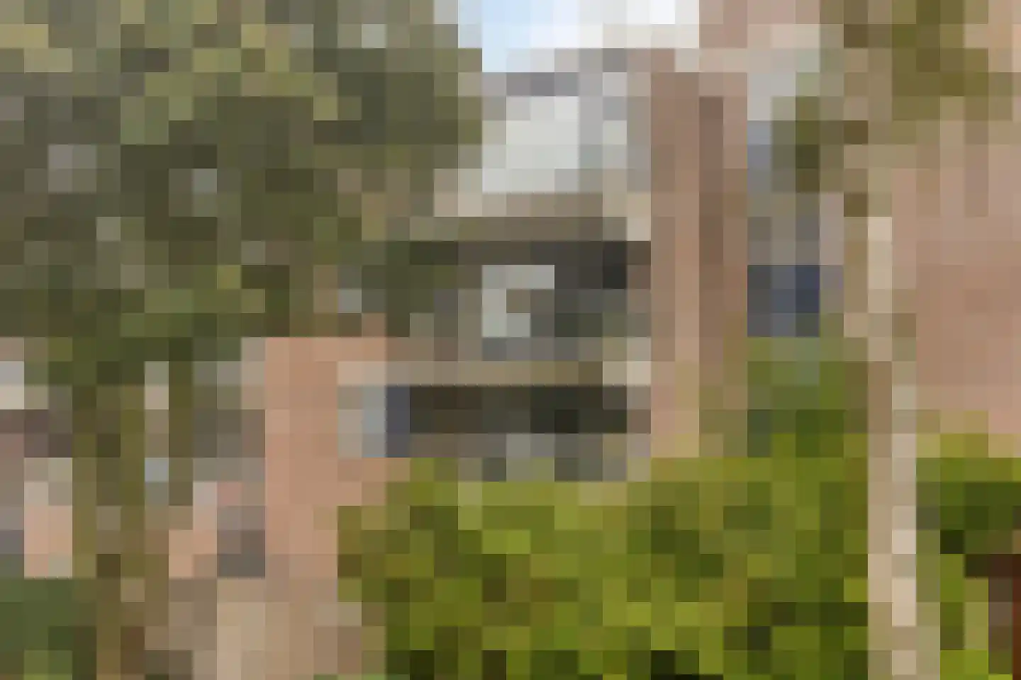 Kribbemonde 93 Nieuwegein thumbnail 26