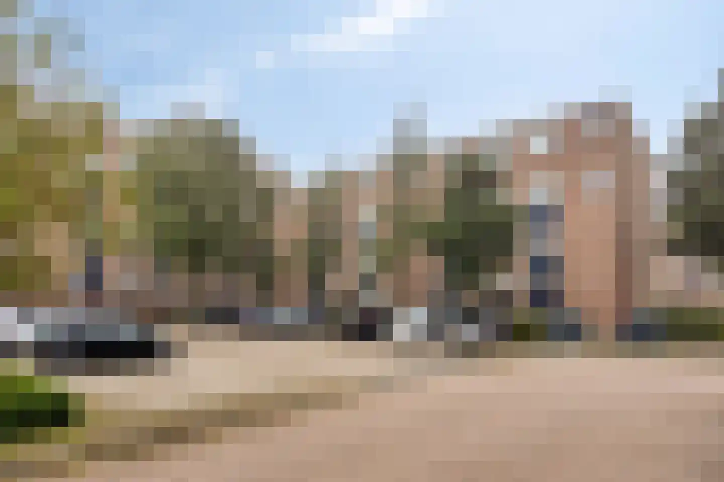Kribbemonde 93 Nieuwegein thumbnail 27
