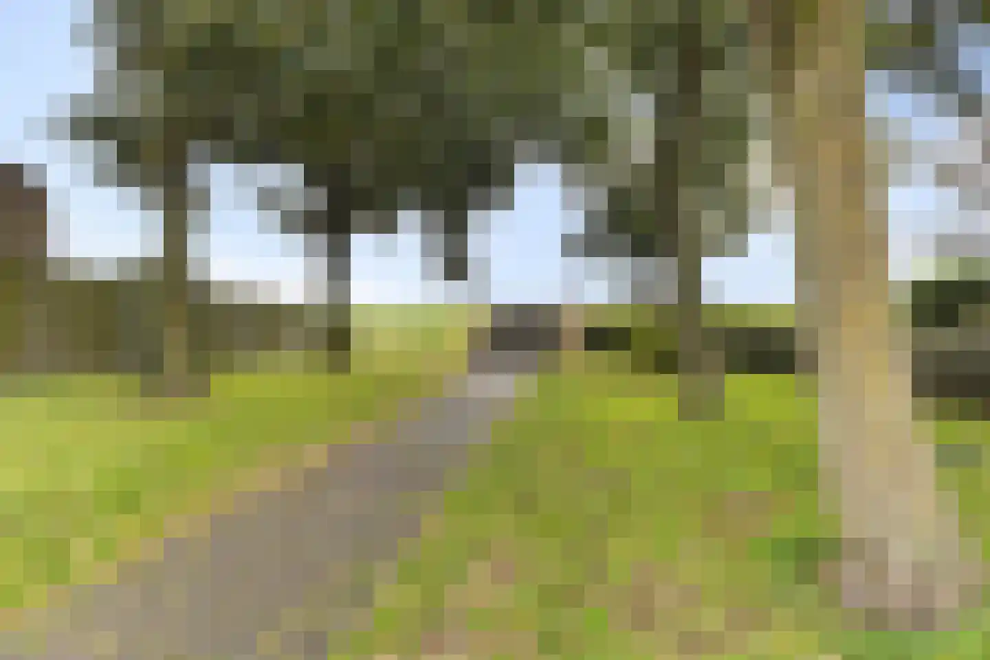 Kribbemonde 93 Nieuwegein thumbnail 28
