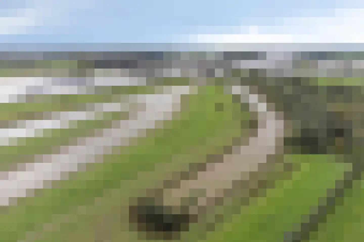 Kribbemonde 93 Nieuwegein thumbnail 31