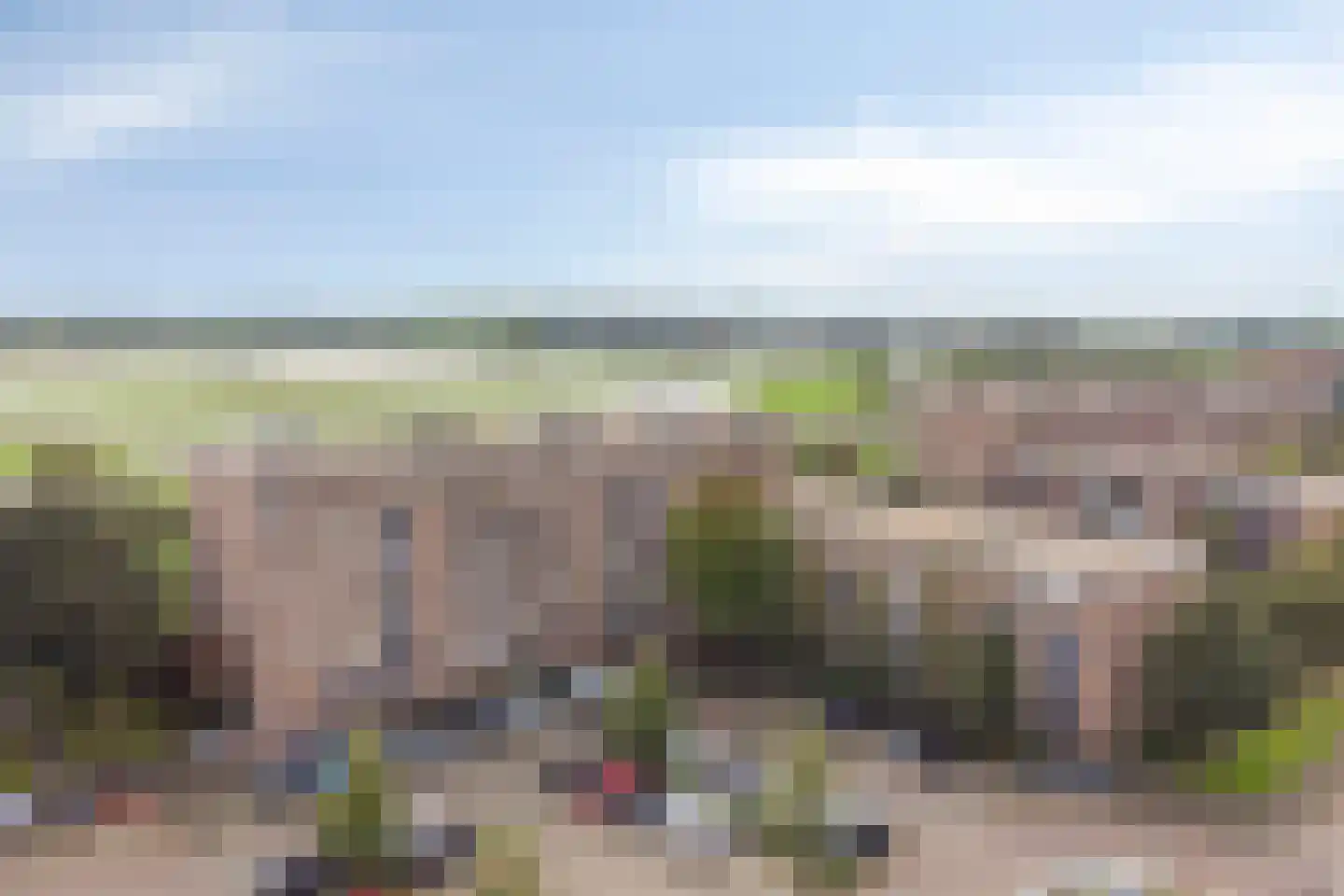 Kribbemonde 93 Nieuwegein thumbnail 32