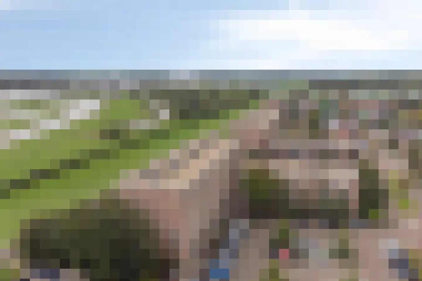 Kribbemonde 93 Nieuwegein thumbnail 33