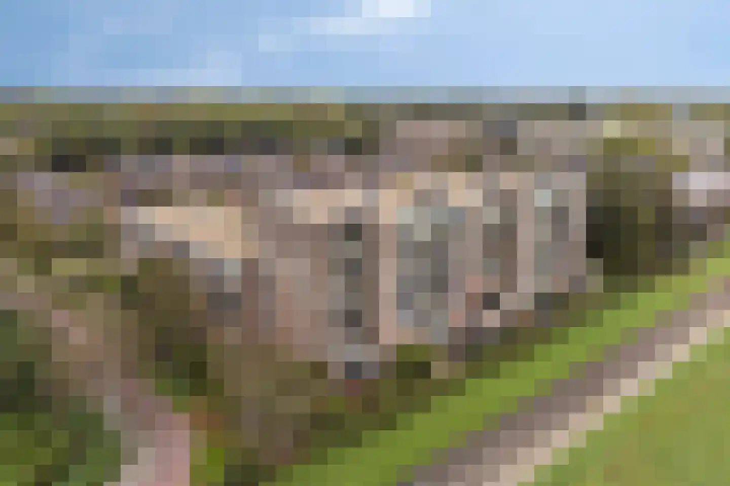 Kribbemonde 93 Nieuwegein thumbnail 34