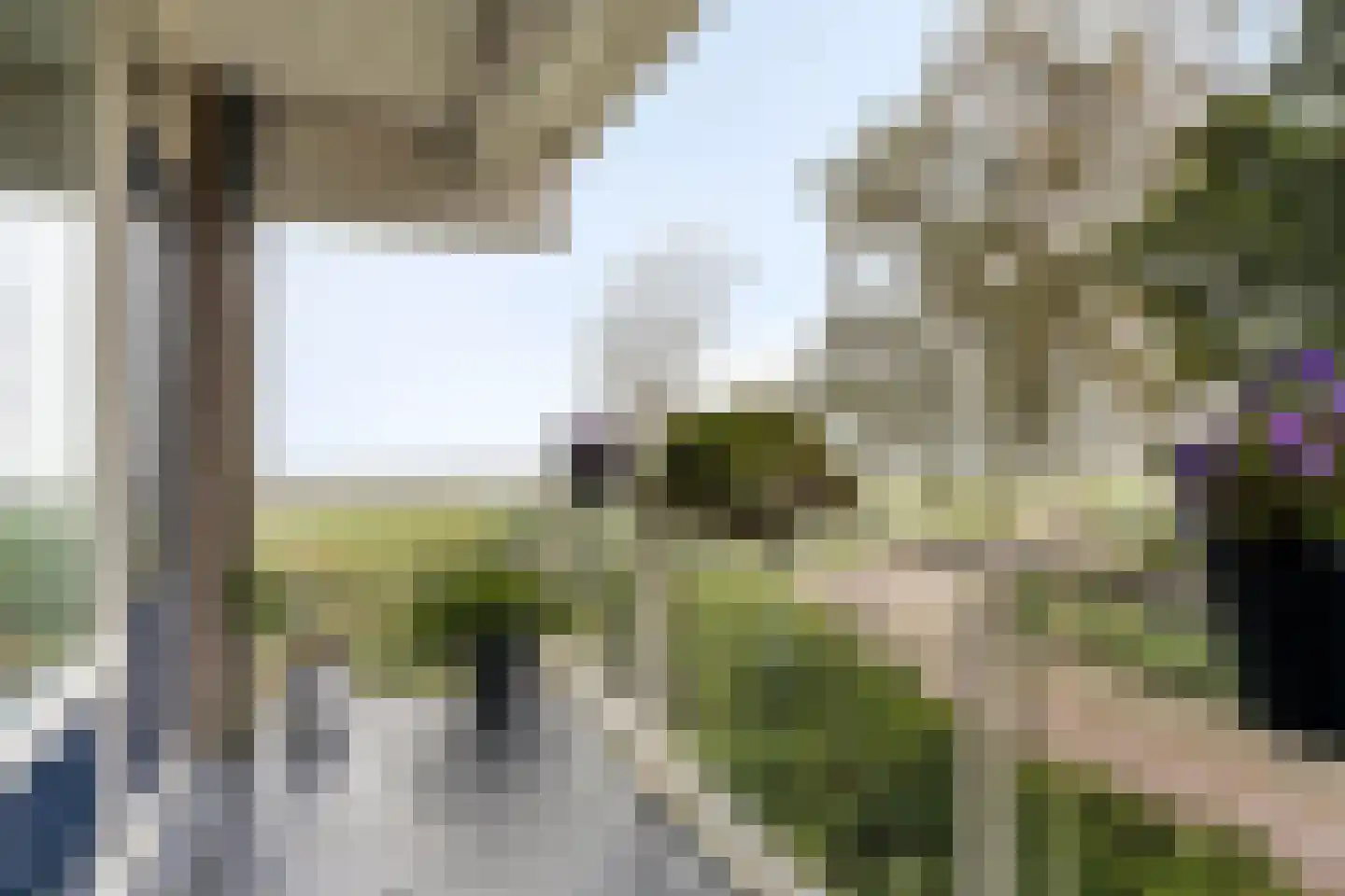 Kribbemonde 93 Nieuwegein thumbnail 6