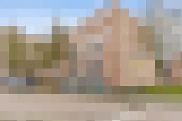 Kribbemonde 97 Nieuwegein thumbnail 27