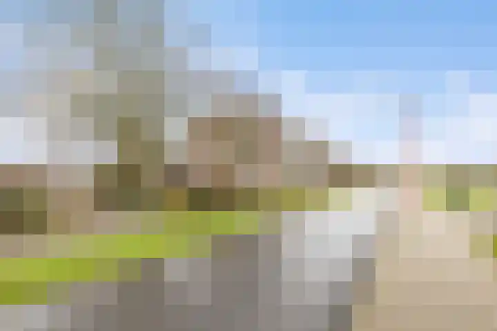 Kribbemonde 97 Nieuwegein thumbnail 28