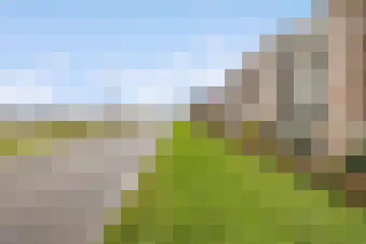 Kribbemonde 97 Nieuwegein thumbnail 30