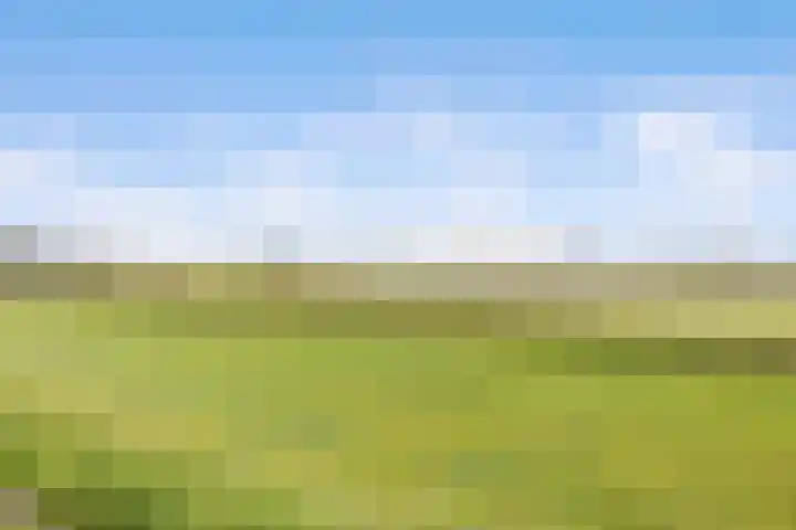 Kribbemonde 97 Nieuwegein thumbnail 31