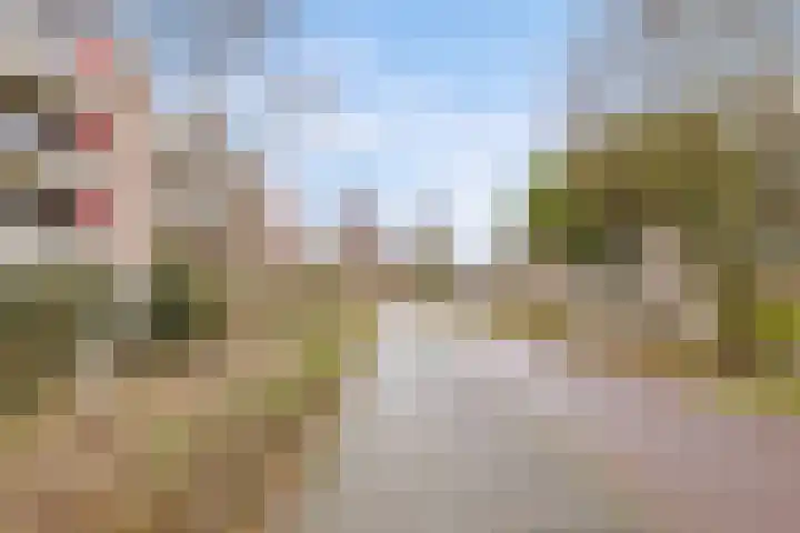 Kribbemonde 97 Nieuwegein thumbnail 33