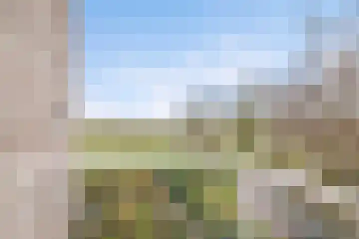 Kribbemonde 97 Nieuwegein thumbnail 8