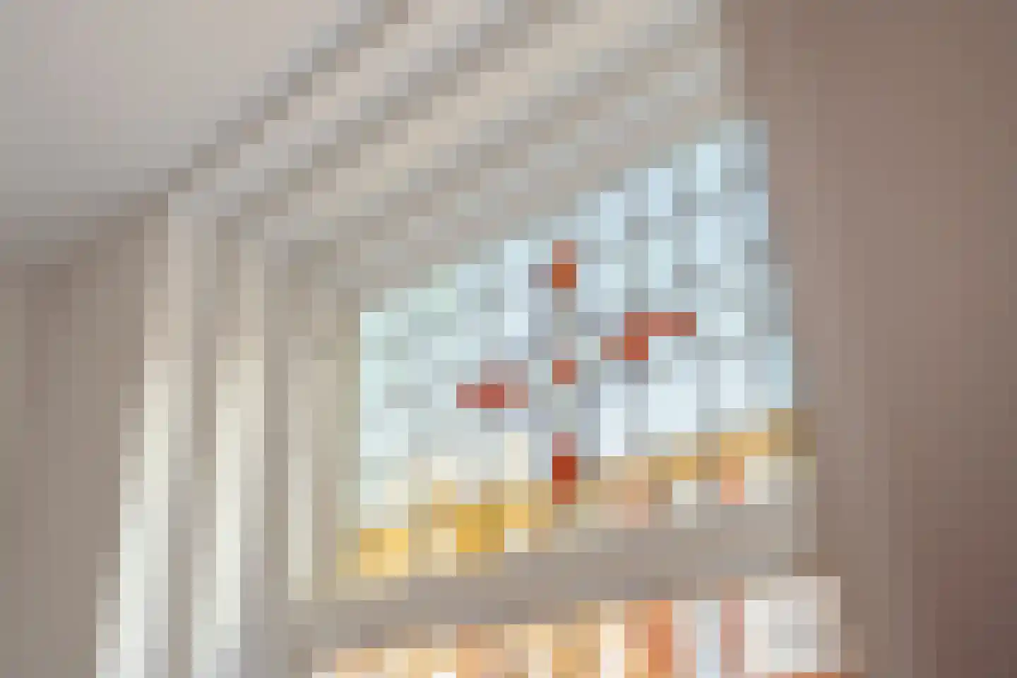 Kribbestraat 20 1 Amsterdam thumbnail 9