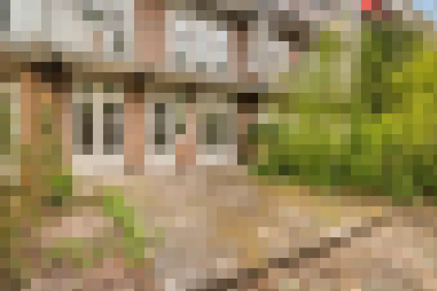 Kribbestraat 22 H Amsterdam thumbnail 11