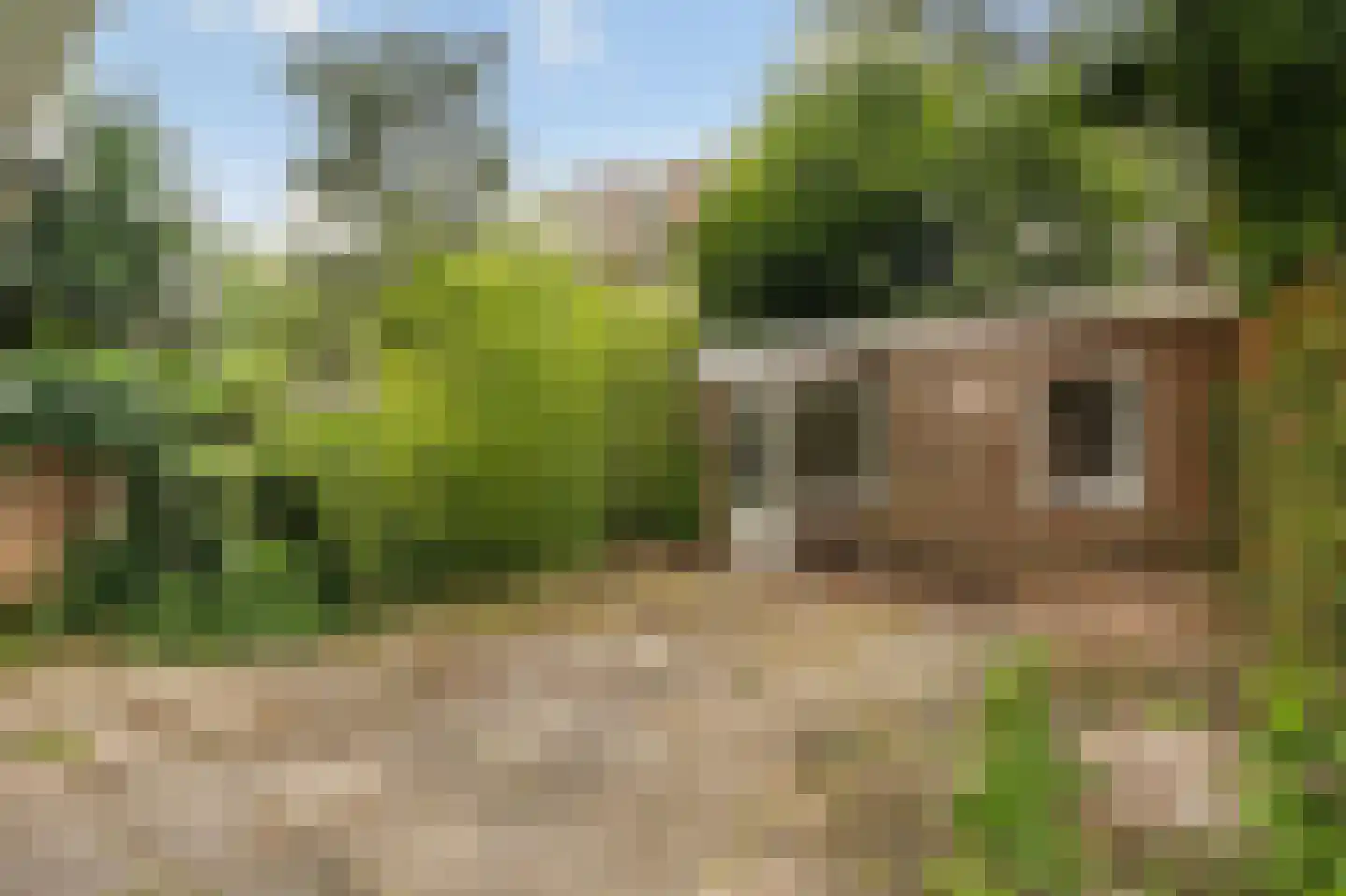 Kribbestraat 22 H Amsterdam thumbnail 13