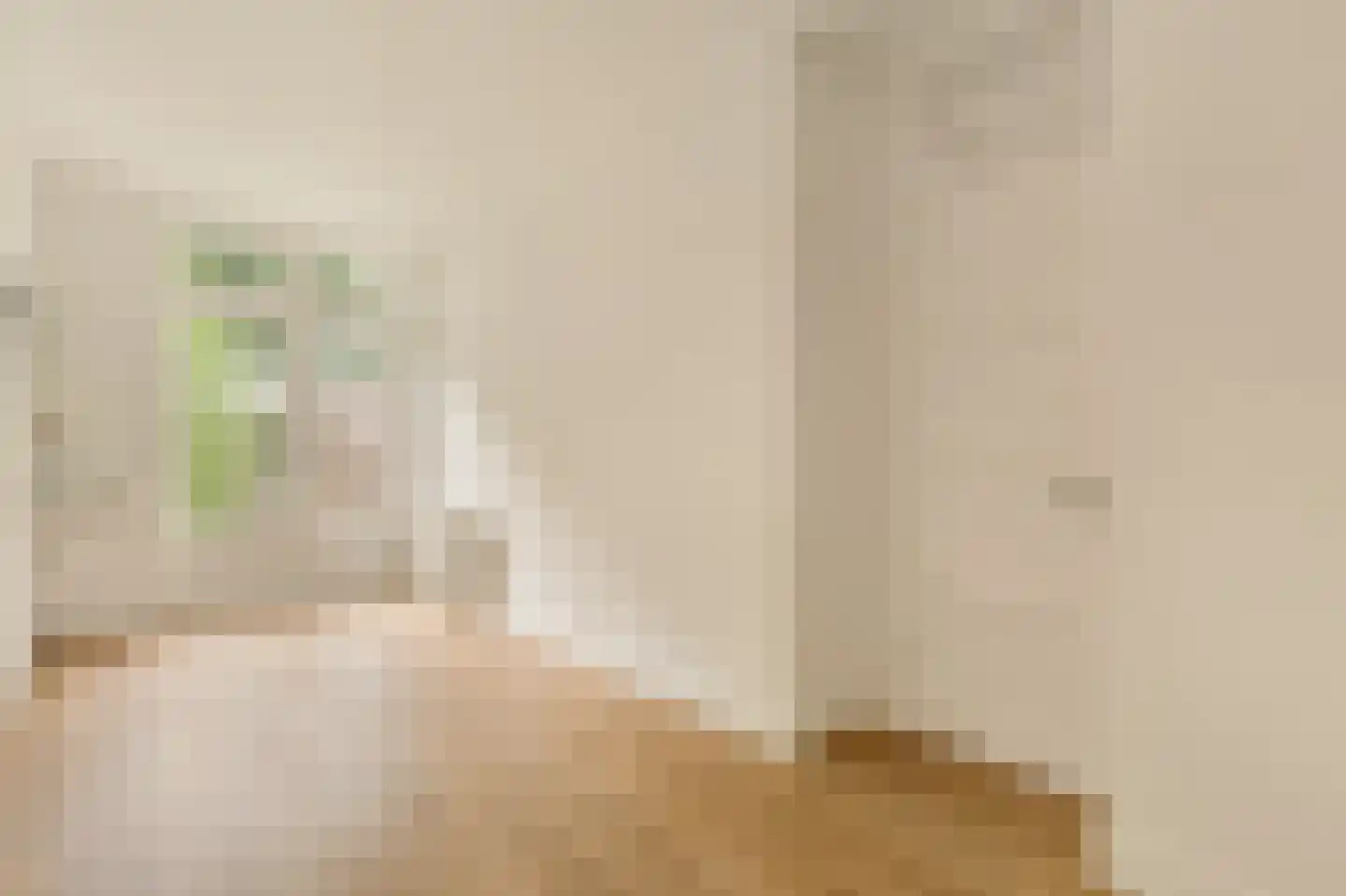 Kribbestraat 22 H Amsterdam thumbnail 15