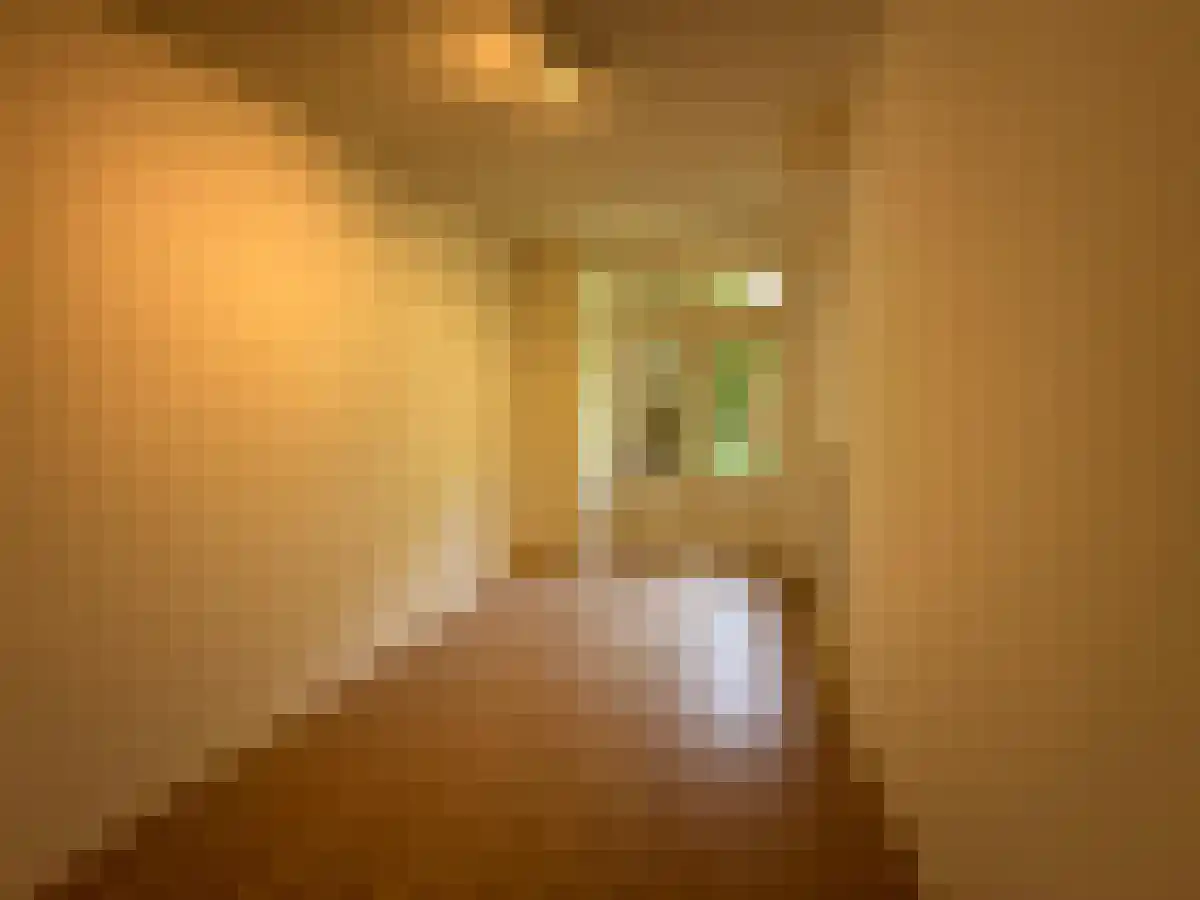 Kribbestraat 26 2 Amsterdam thumbnail 5