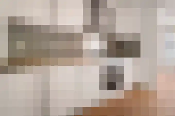 Kribbestraat 35 1 Amsterdam thumbnail 11