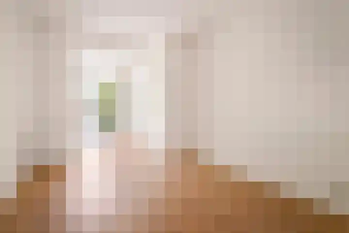 Kribbestraat 35 1 Amsterdam thumbnail 15