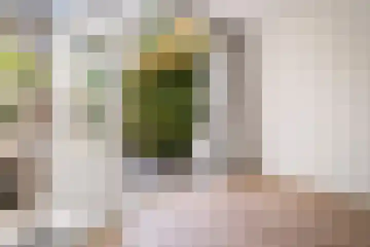 Kribbestraat 35 1 Amsterdam thumbnail 16