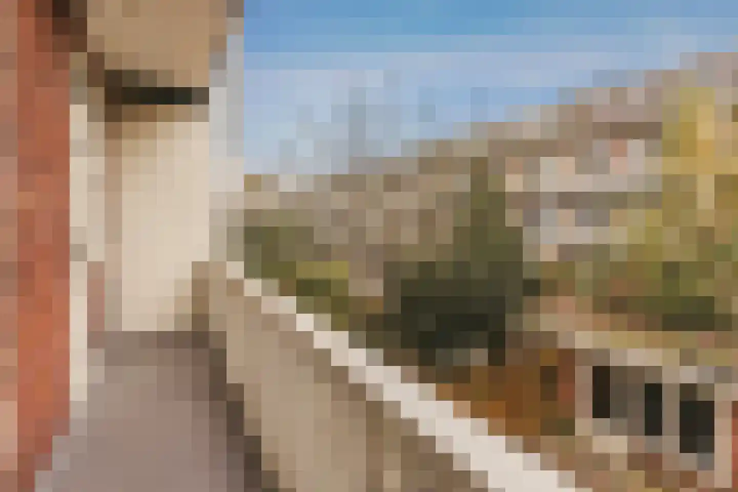 Kribbestraat 35 1 Amsterdam thumbnail 18