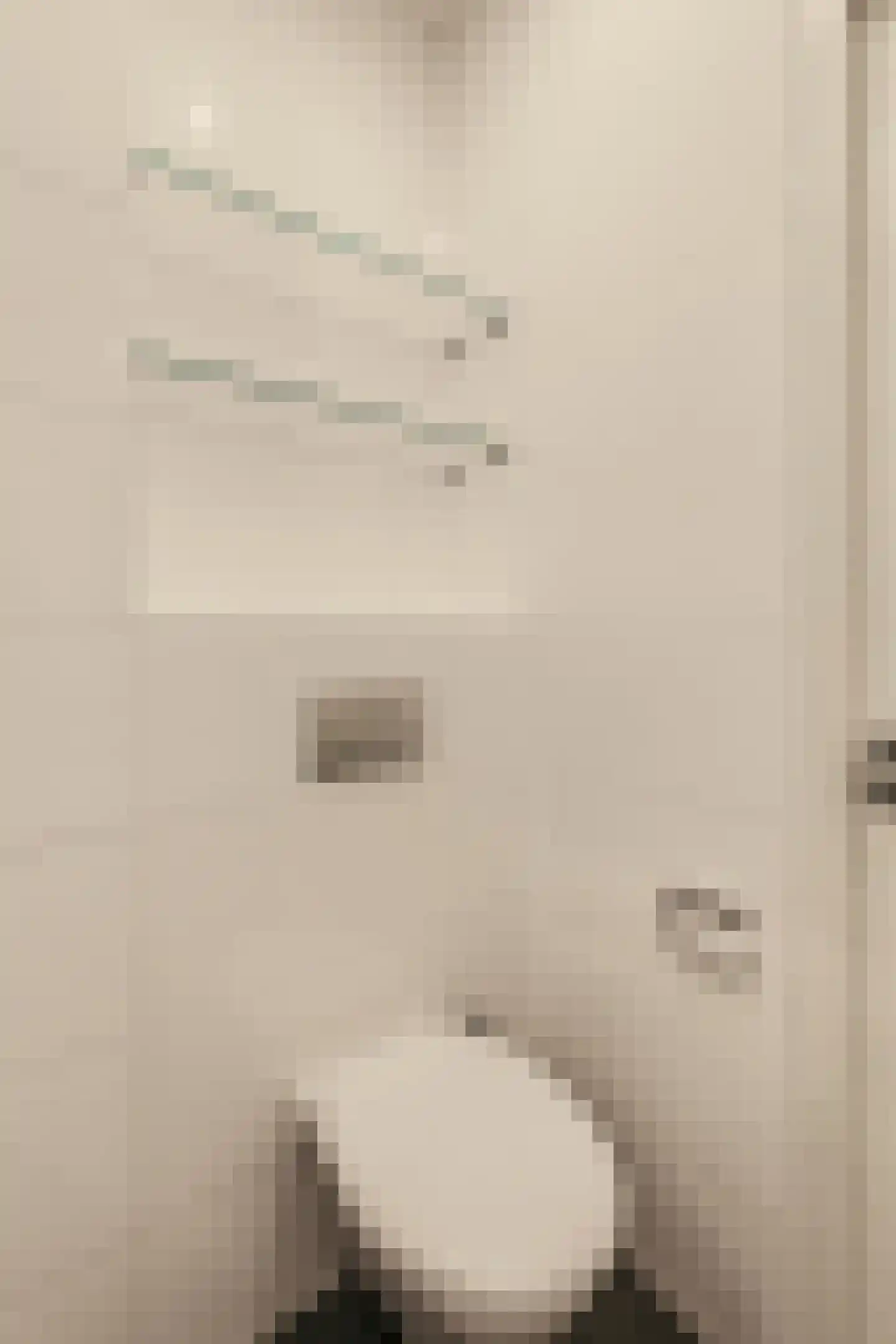 Kribbestraat 35 1 Amsterdam thumbnail 24