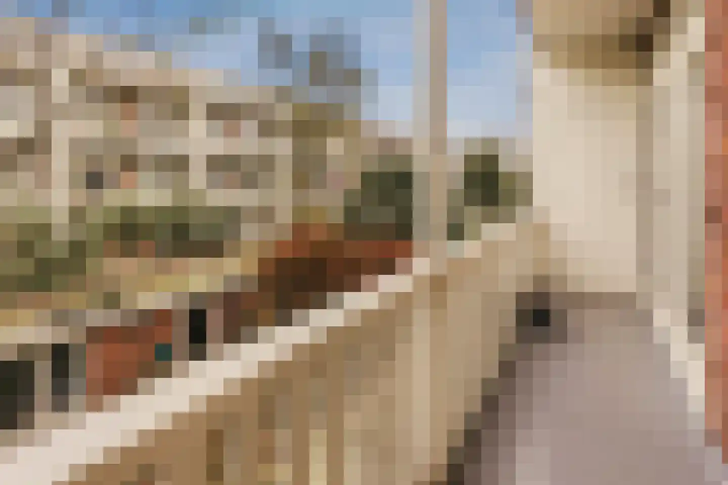 Kribbestraat 35 1 Amsterdam thumbnail 4