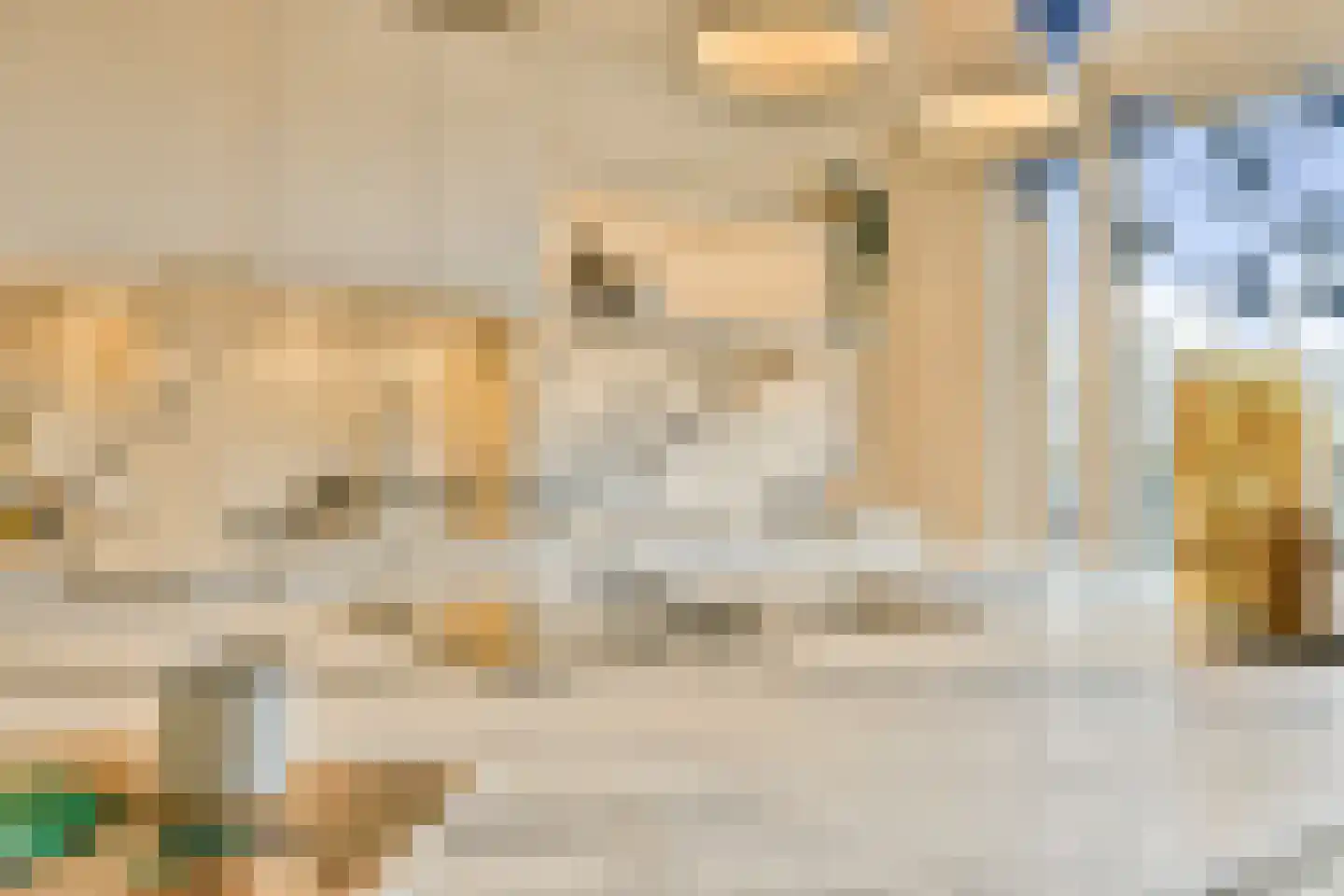 Kribbestraat 46 3 Amsterdam thumbnail 11