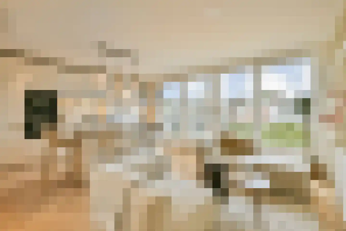 Kribbestraat 46 3 Amsterdam thumbnail 12