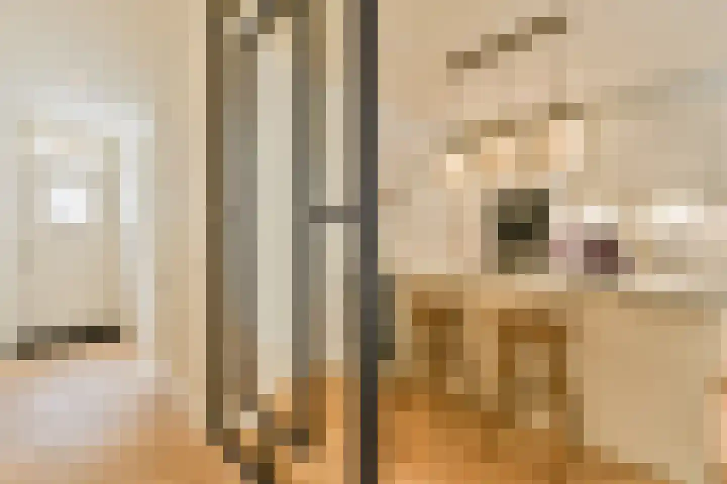 Kribbestraat 46 H Amsterdam thumbnail 10