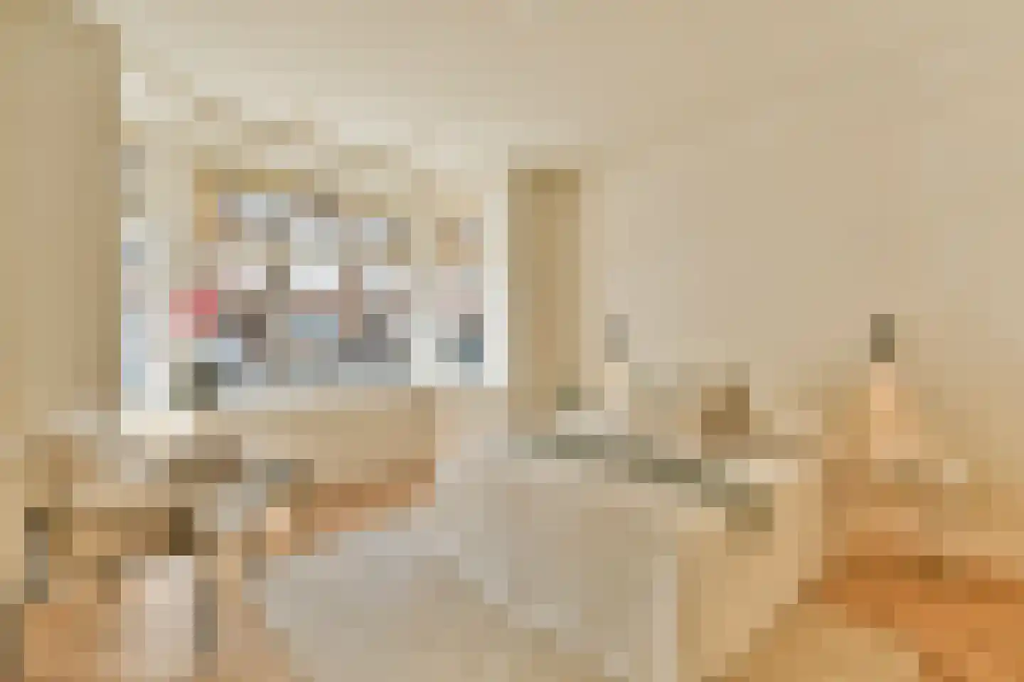 Kribbestraat 46 H Amsterdam thumbnail 11