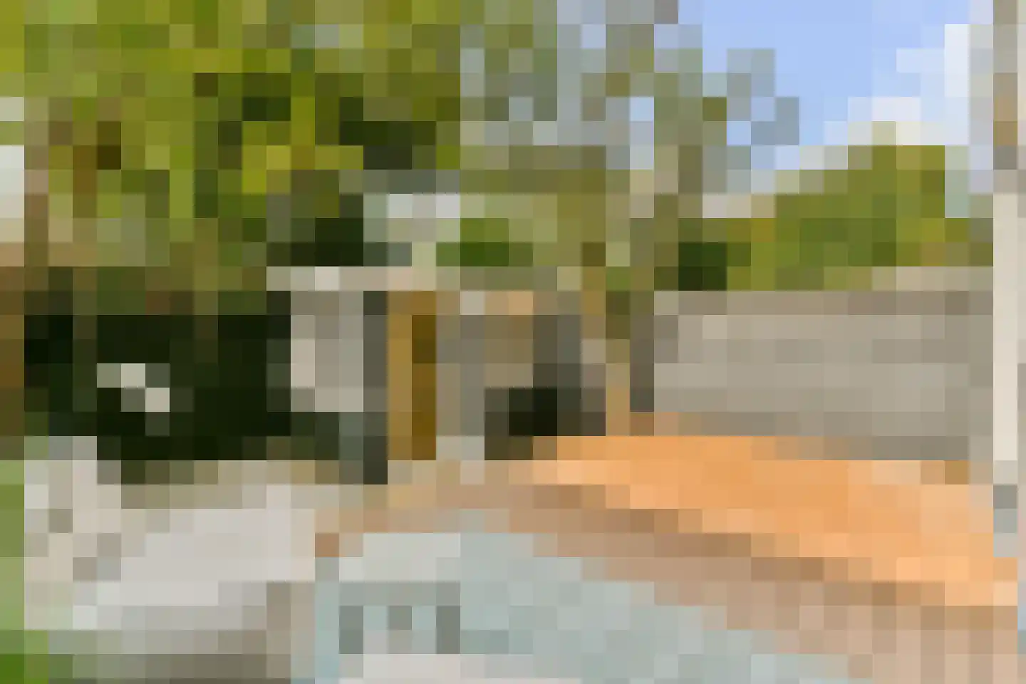 Kribbestraat 46 H Amsterdam thumbnail 20