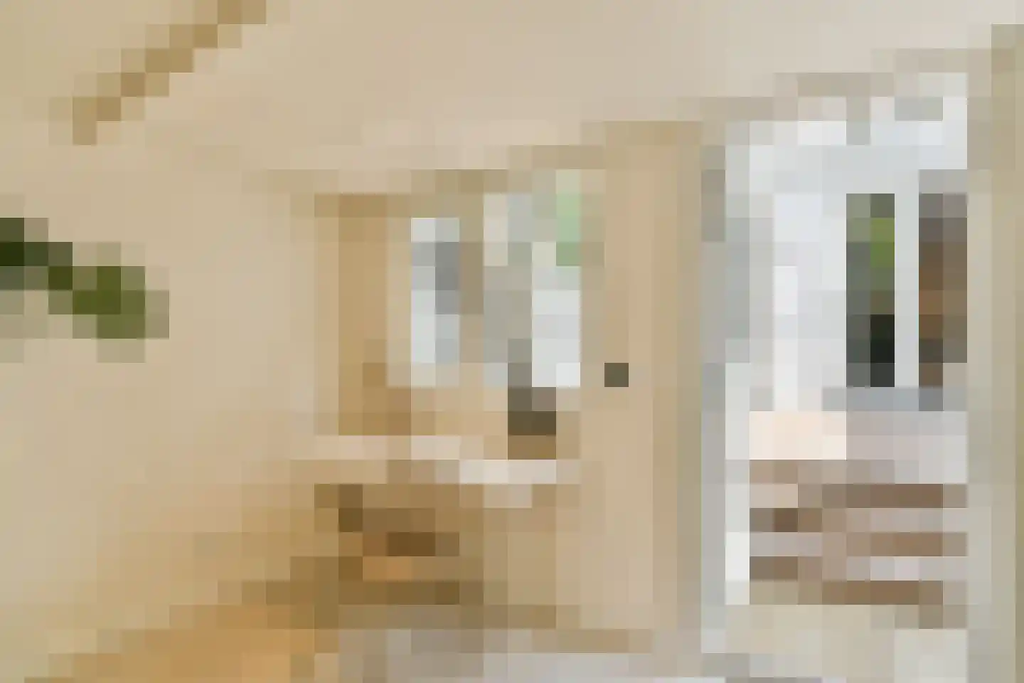 Kribbestraat 46 H Amsterdam thumbnail 22