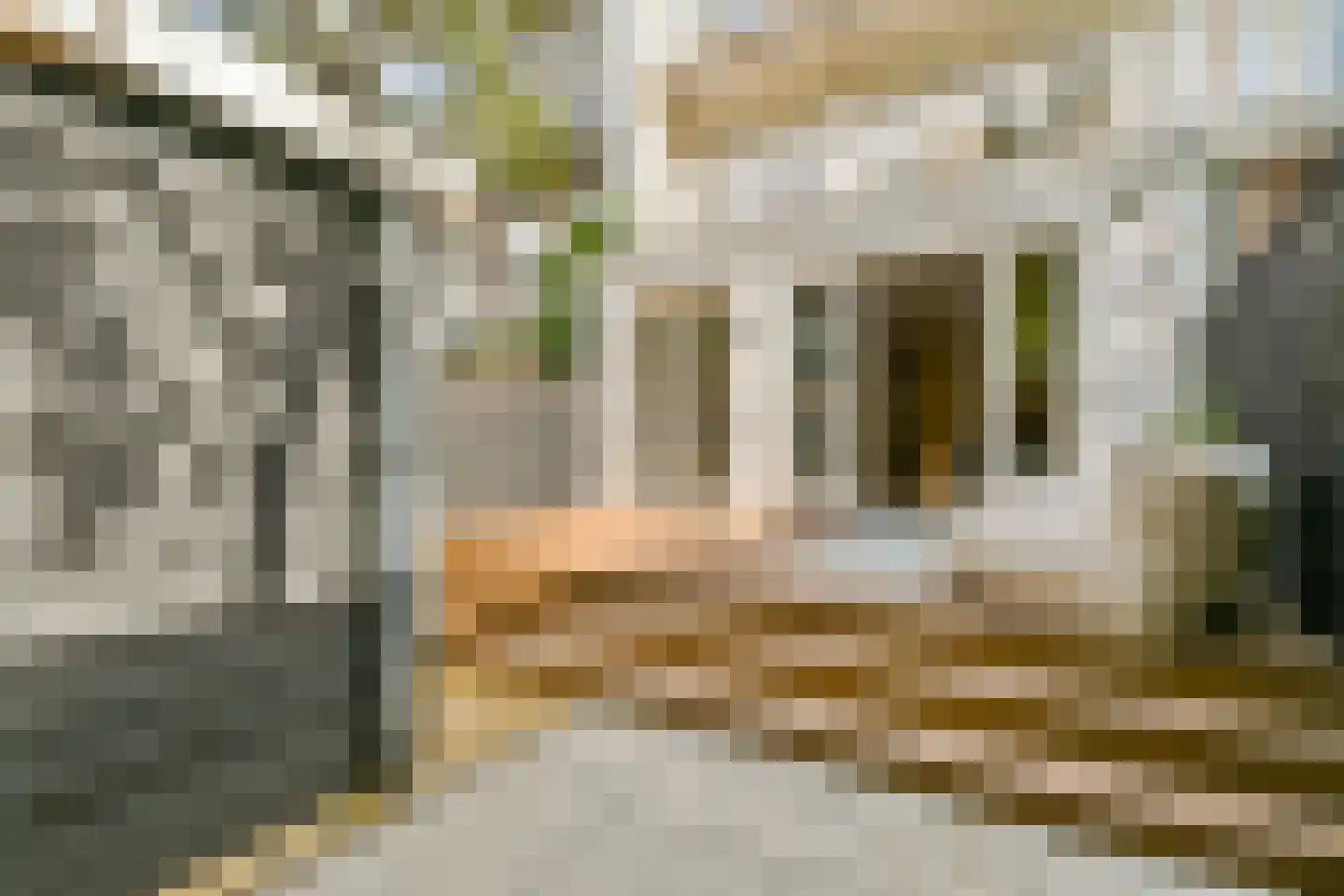 Kribbestraat 46 H Amsterdam thumbnail 24